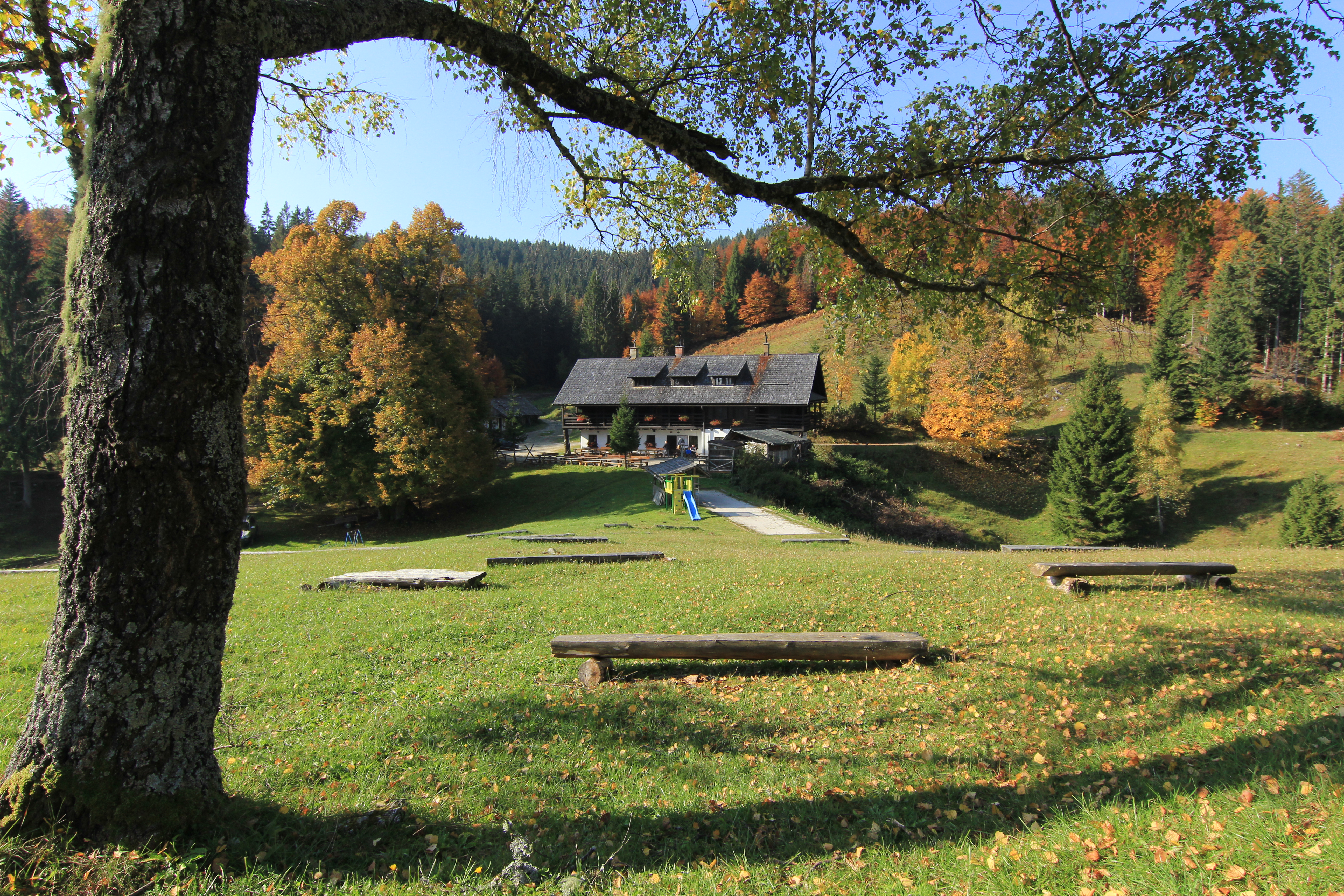 Vodiška planina jeseni